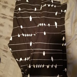 Bird on a wire LLR